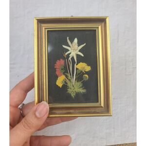 Vintage Dried Flowers Handmade Miniature Picture Frame 3.5”x4.5” Made In Austria